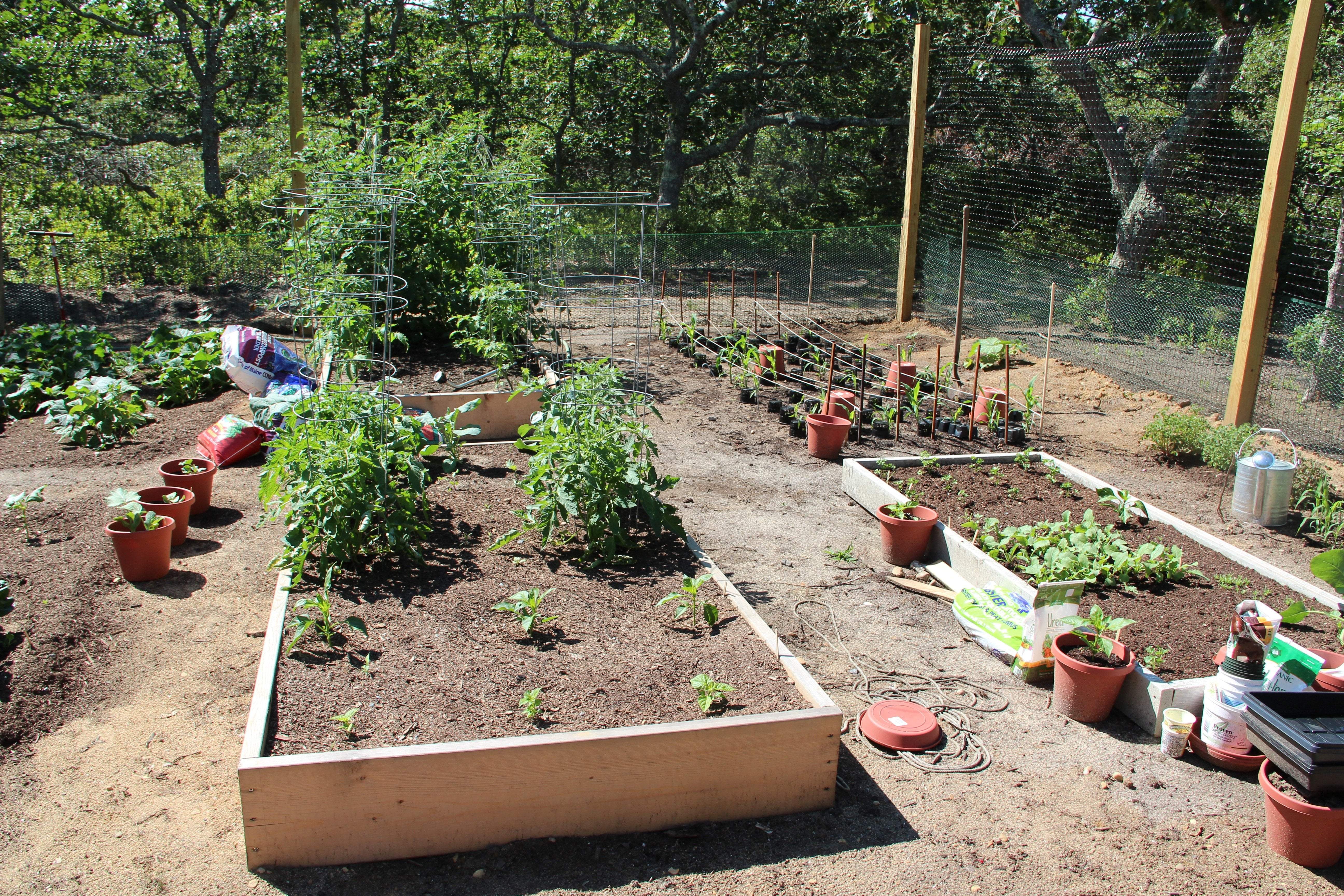 Spring time garden treats, spring time recipes from Sow True Seed Asheville NC.