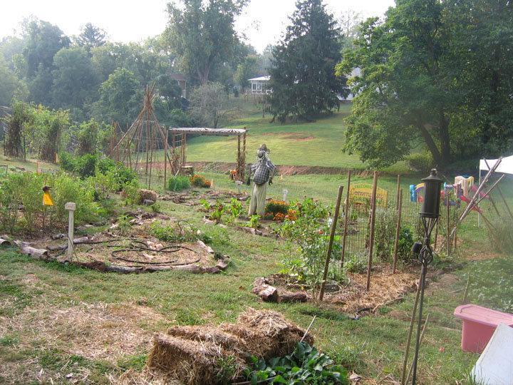 Western North Carolina fall garden reading from Sow True Seed Asheville NC.