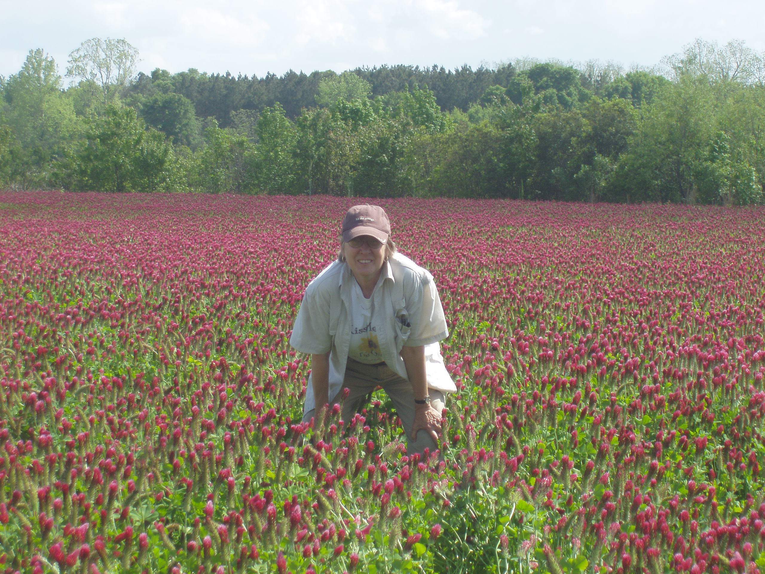 Support farmers in their fight against Monsanto by purchasing local organic produce.