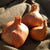 How to Grow Perennial Potato Onions