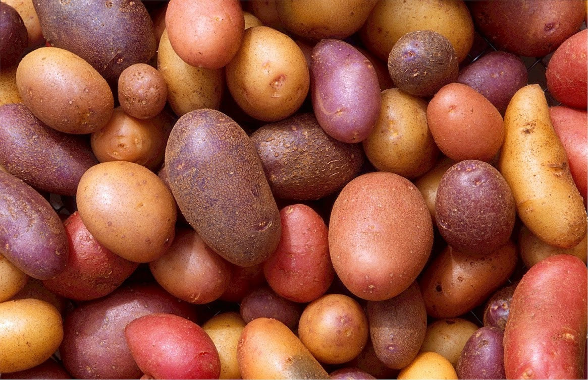 Potatoes - The Complete Guide to Growing Potatoes
