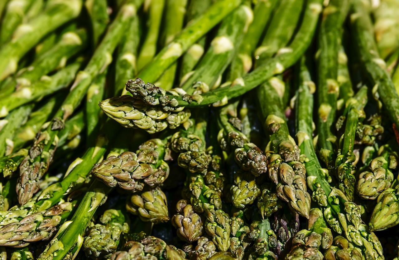 A Complete Guide to Growing Asparagus (From Crown and From Seed)