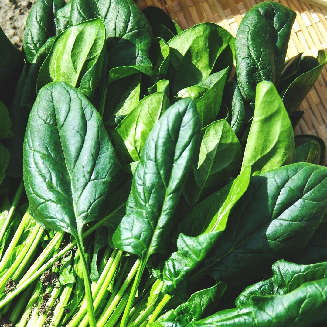 7 Types of Lettuce That Will Get You Excited About Salad