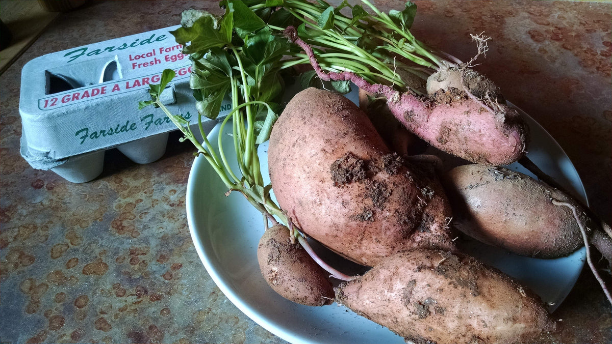 How to Cut Sweet Potatoes - It's a Veg World After All®