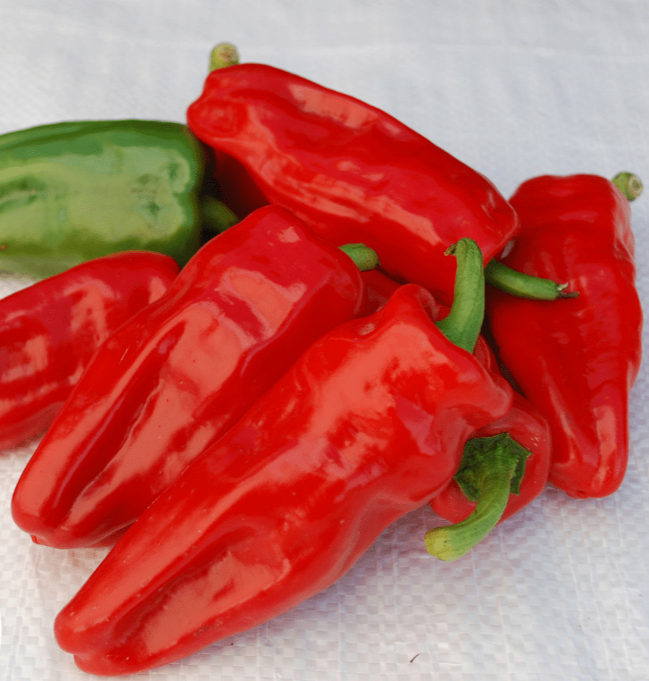 aleppo pepper seeds for planting Hot Pepper Seeds