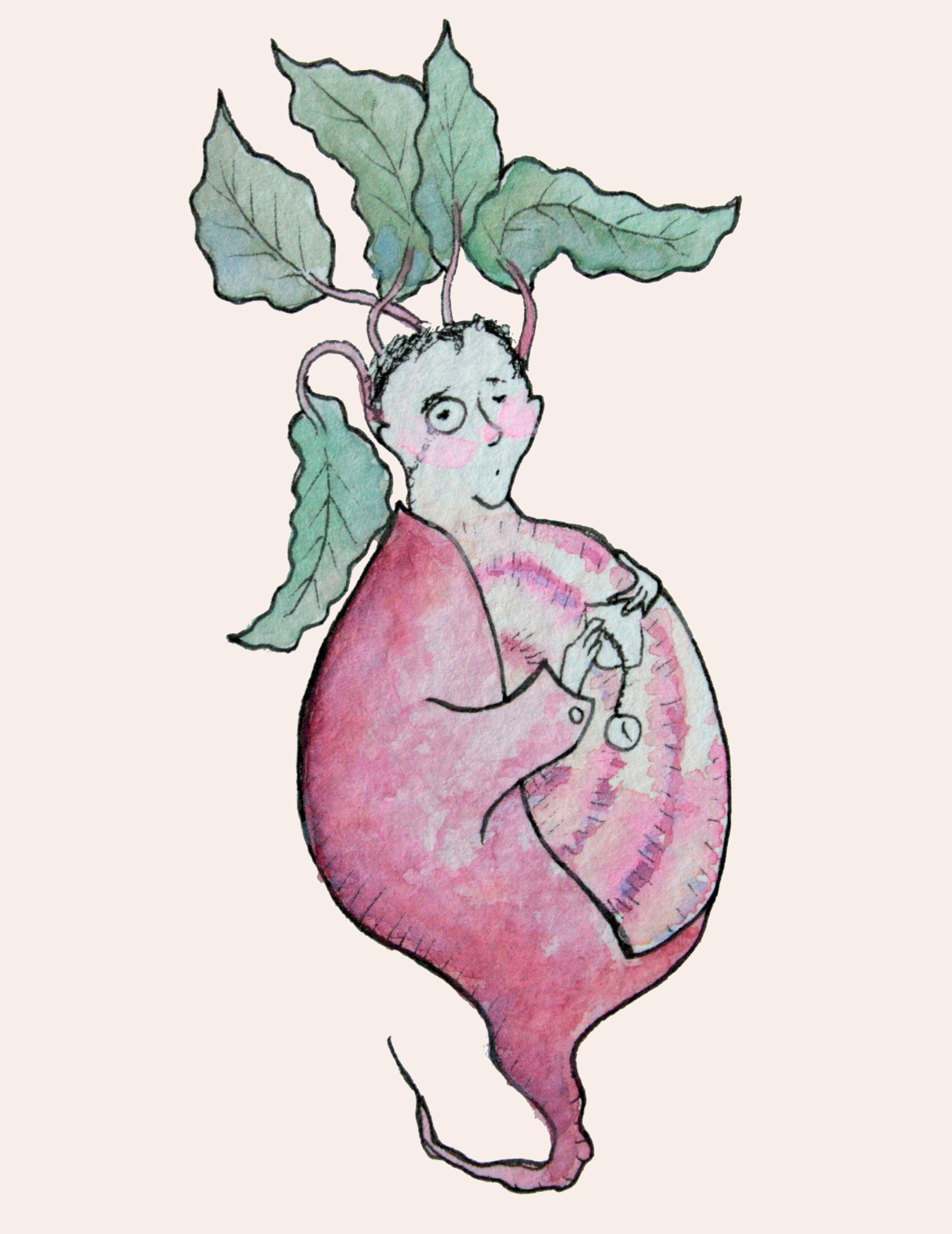 Beet Seeds - Chioggia - Sow True Seed