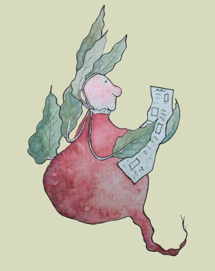 Beet Seeds - Detroit Dark Red - Sow True Seed