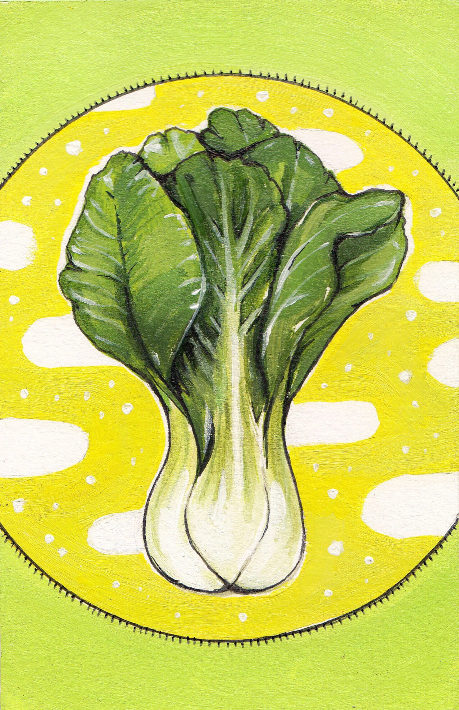 Asian Greens Seeds - Bok Choy - Sow True Seed