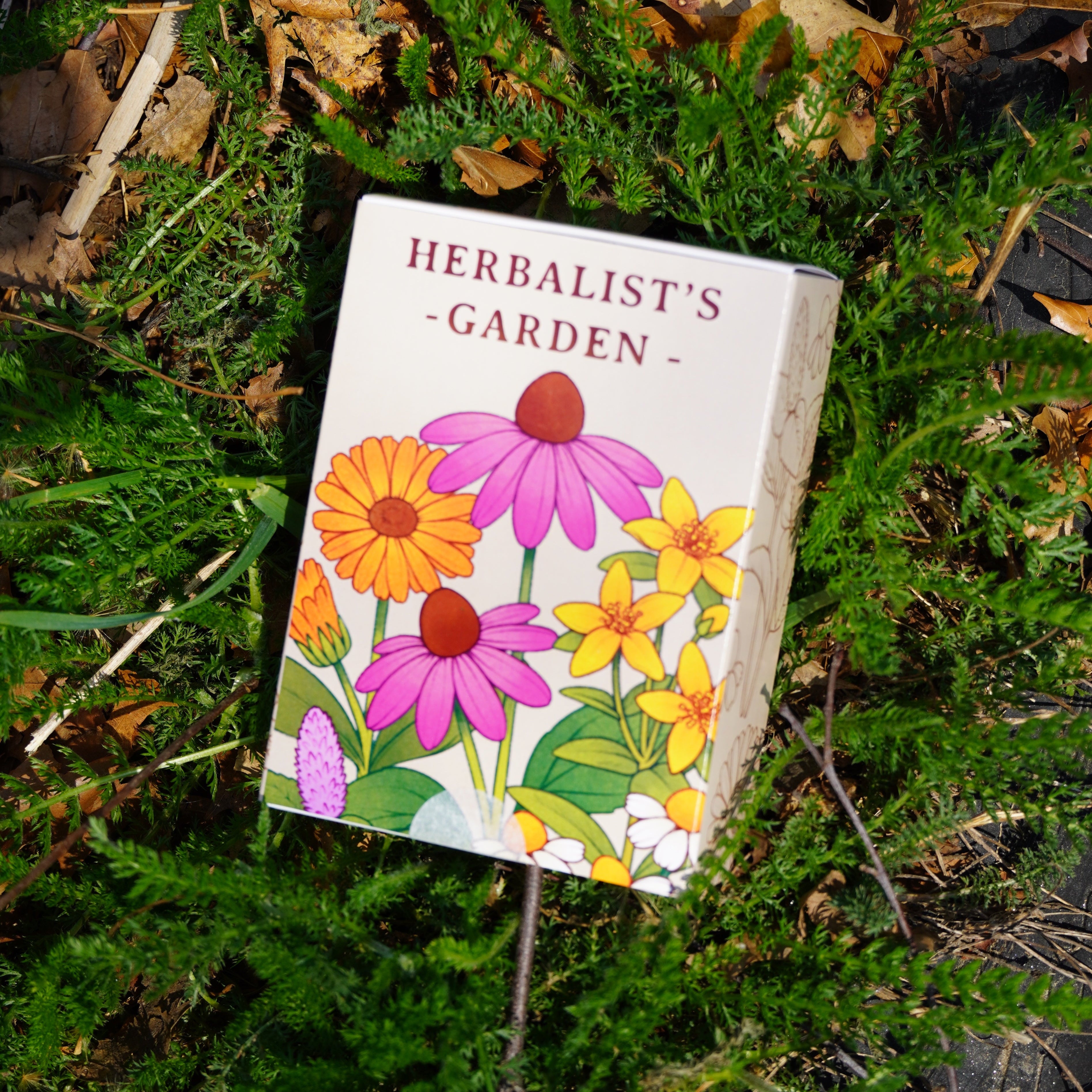 the seed garden Herbalist's Garden Seed Collection Box – Sow True Seed