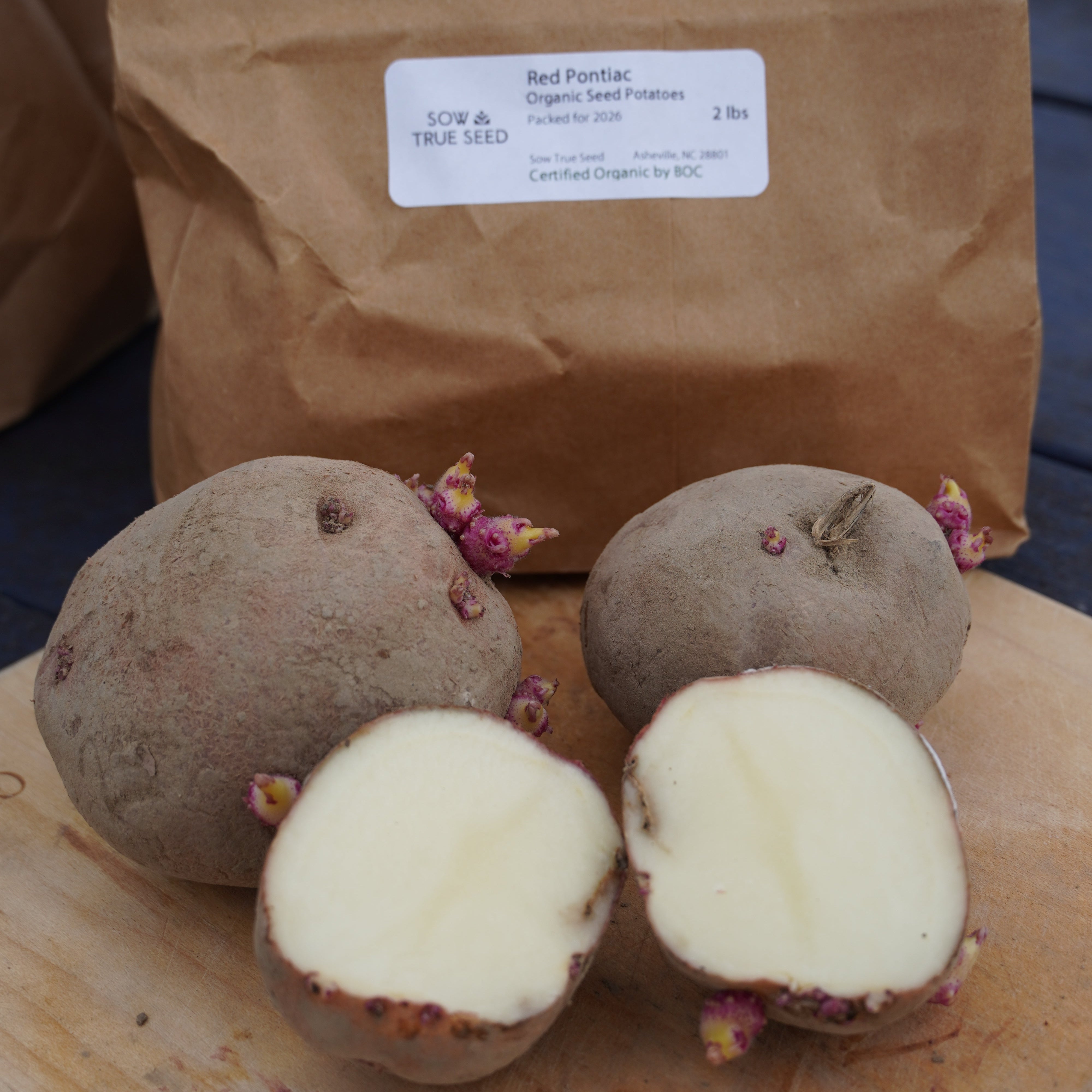 planting red pontiac seed potatoes Red Pontiac Organic Seed Potatoes | Sow True Seed