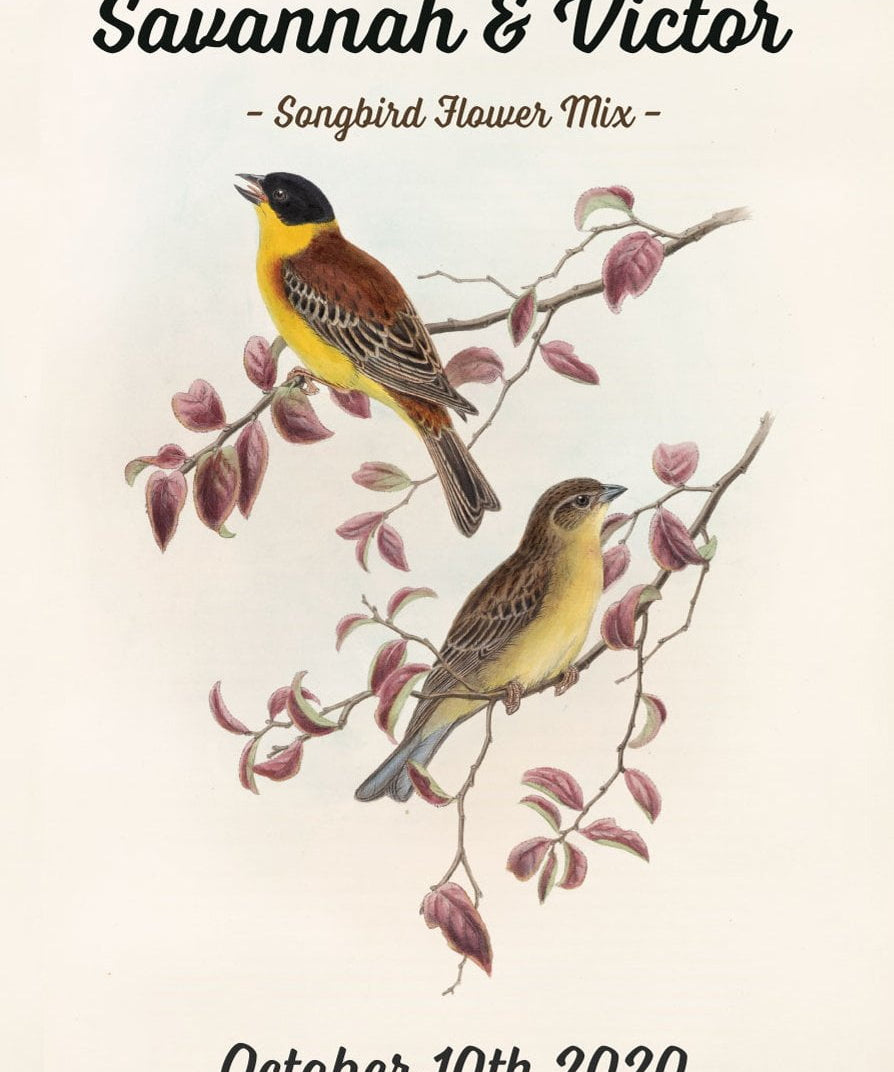 Pre-Designed Template - Two Birds - Sow True Seed