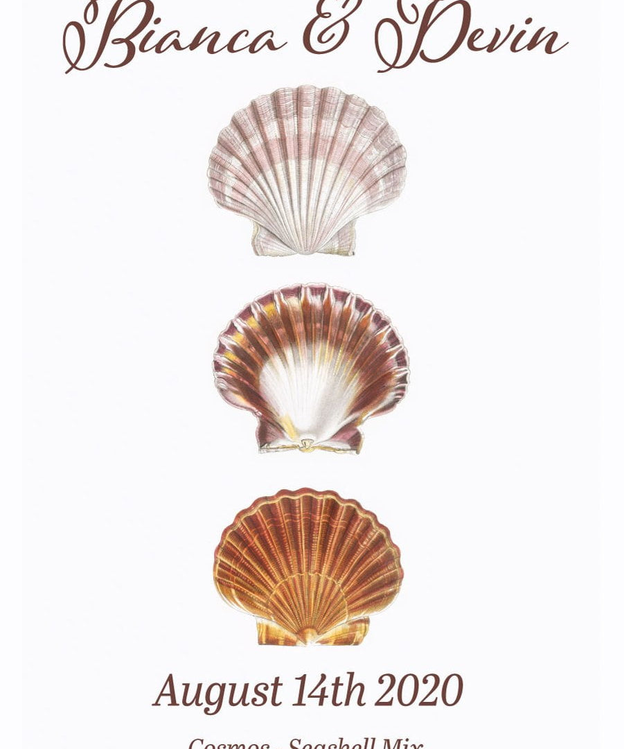 Pre-Designed Template - Seashell - Sow True Seed