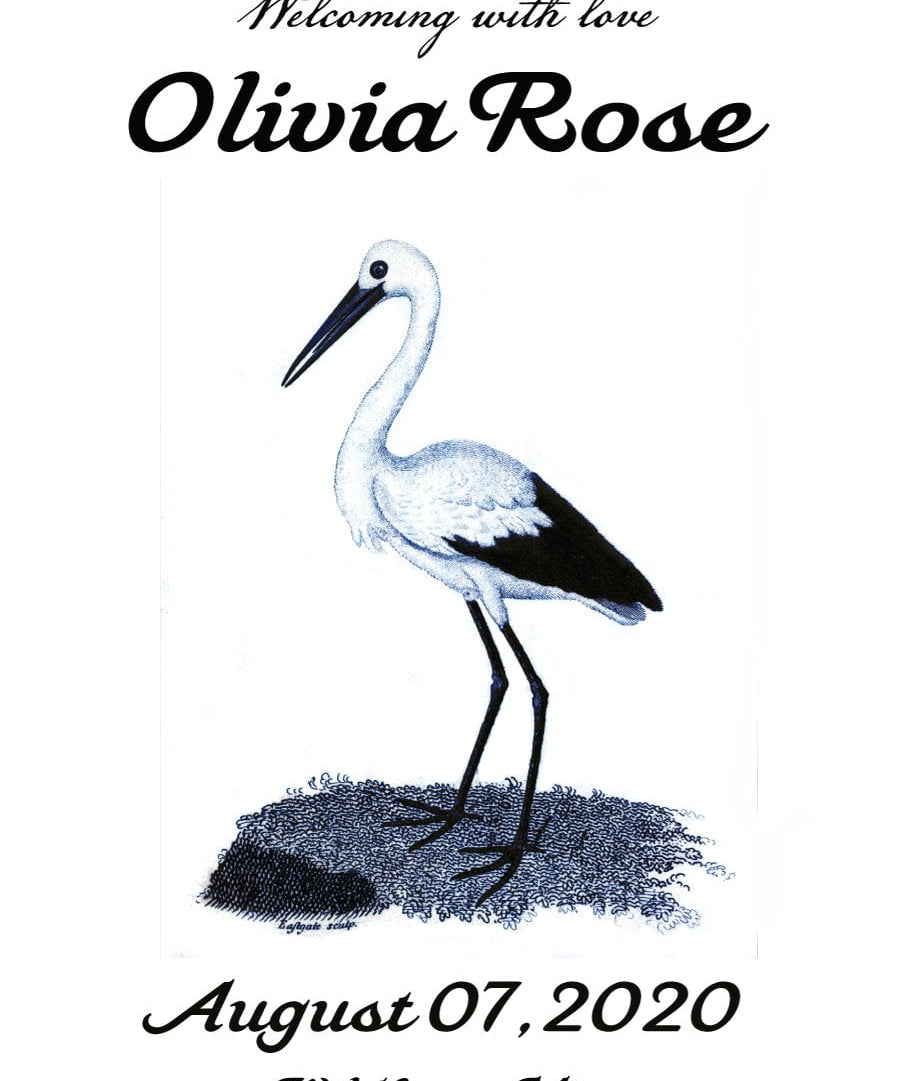 Pre-Designed Template - Stork Birth Announcement - Sow True Seed