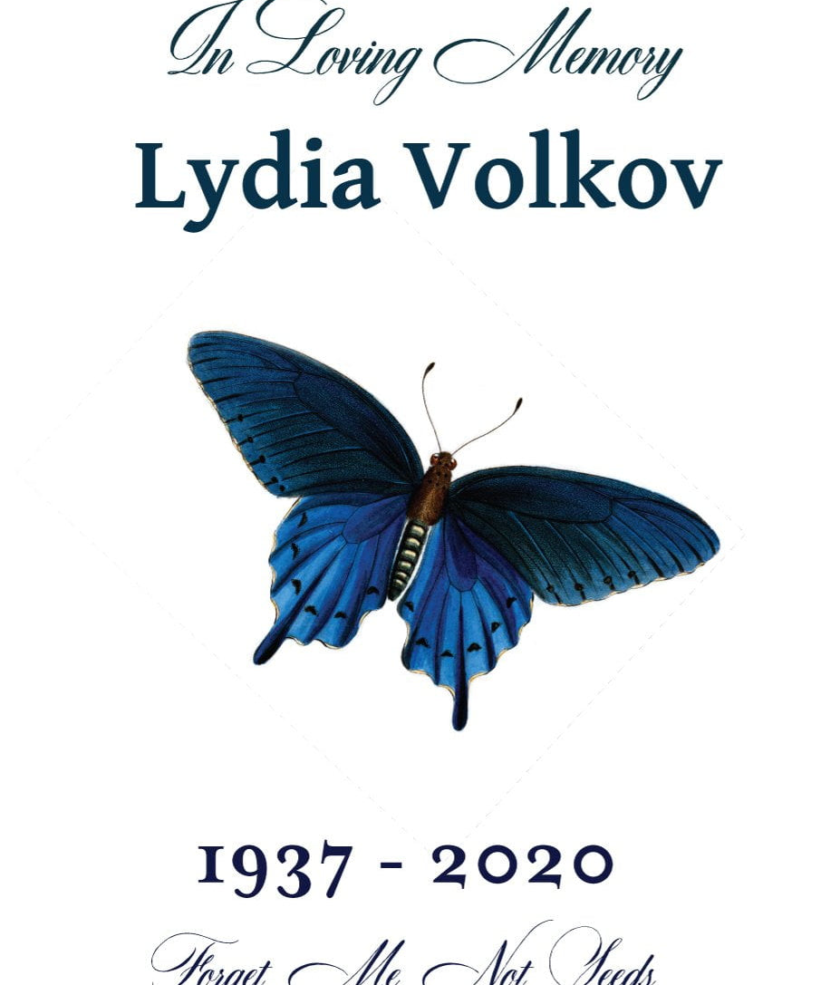 Pre-Designed Template - Remebrance Butterfly - Sow True Seed