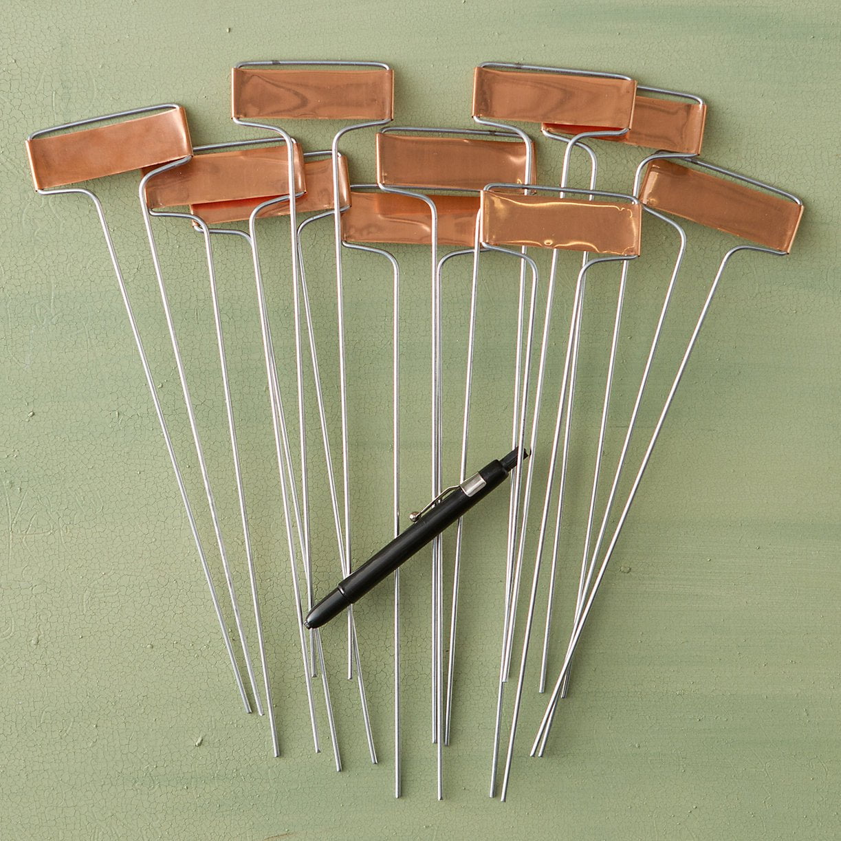 plant seed labels Copper Plant Labels Single Label