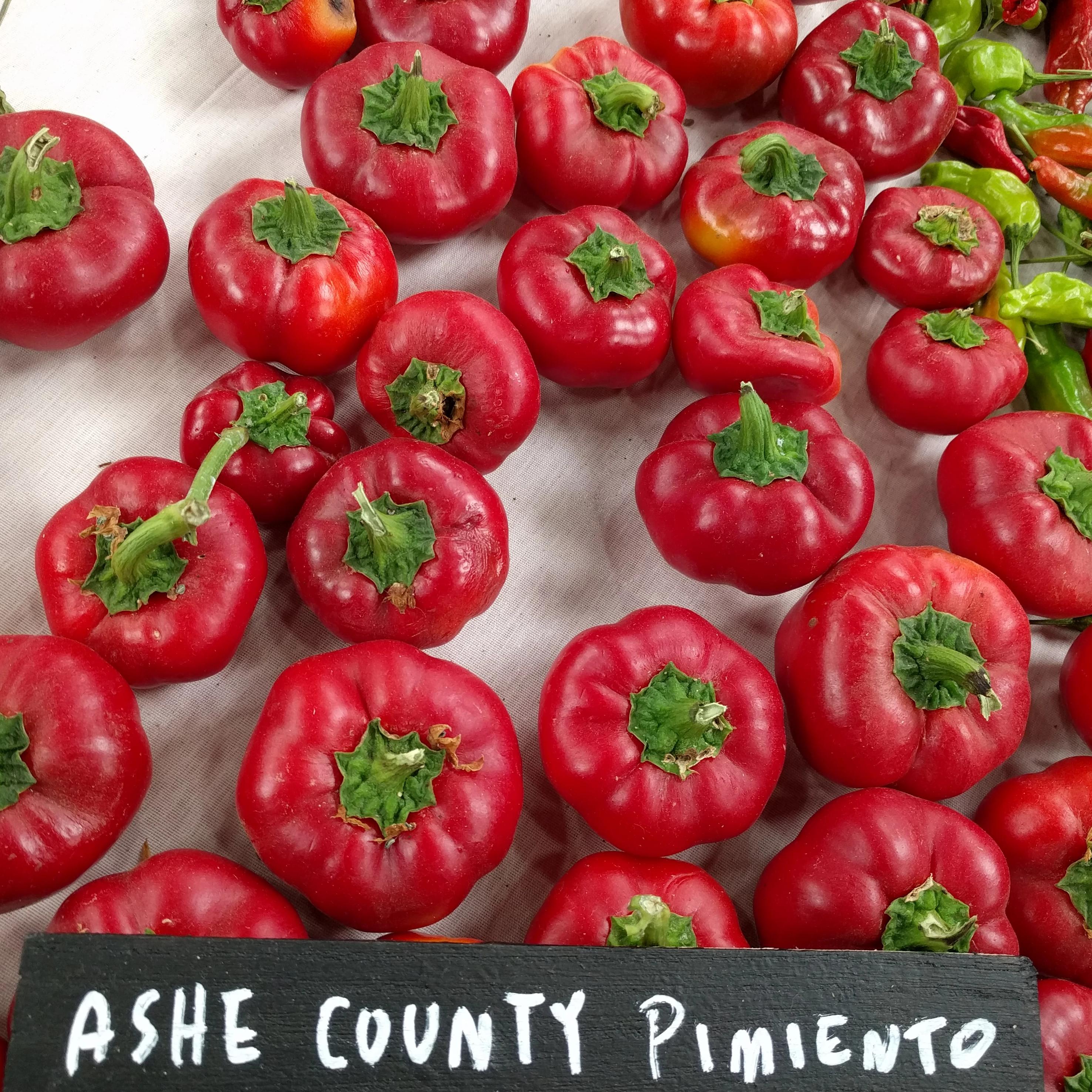 Sweet Pepper Seeds - Ashe County Pimento - Sow True Seed