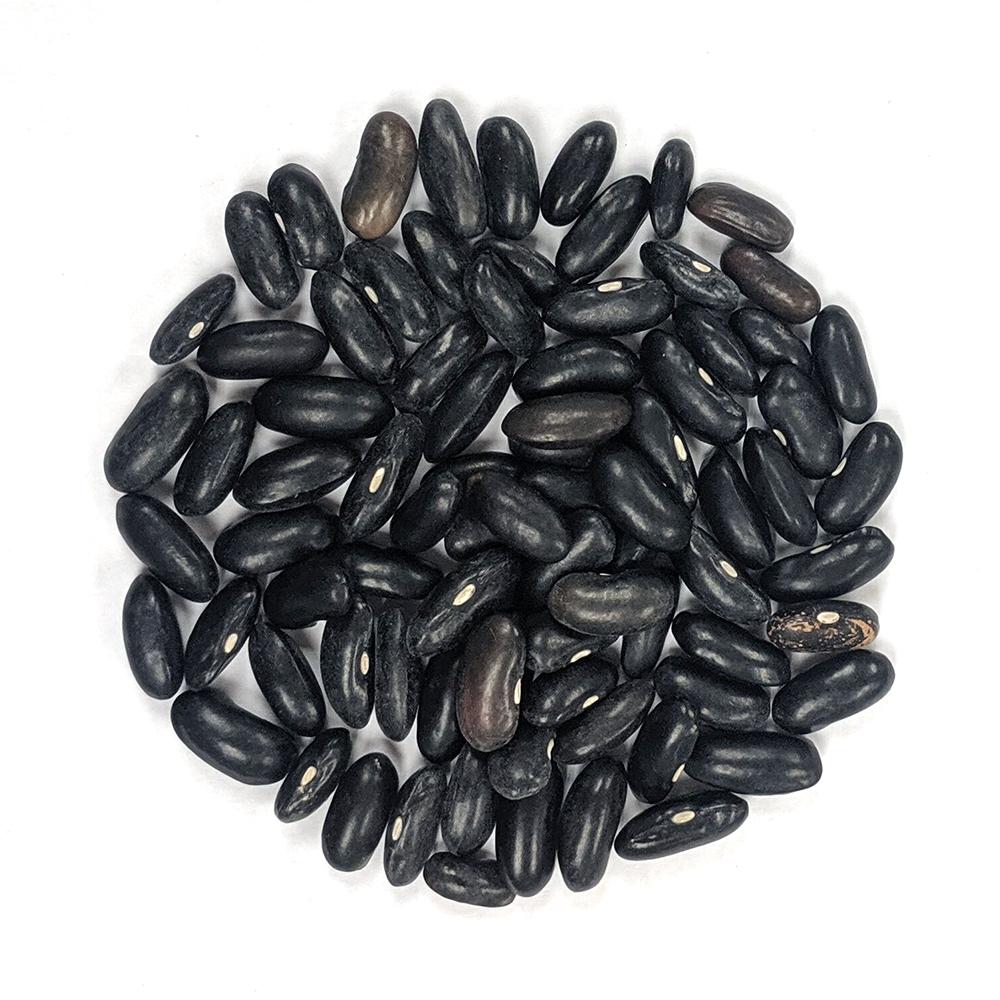 Cherokee Wax Bush Bean Seeds - Heirloom Vegetable Seeds - 30+ Count - Ohio Heirloom Seeds