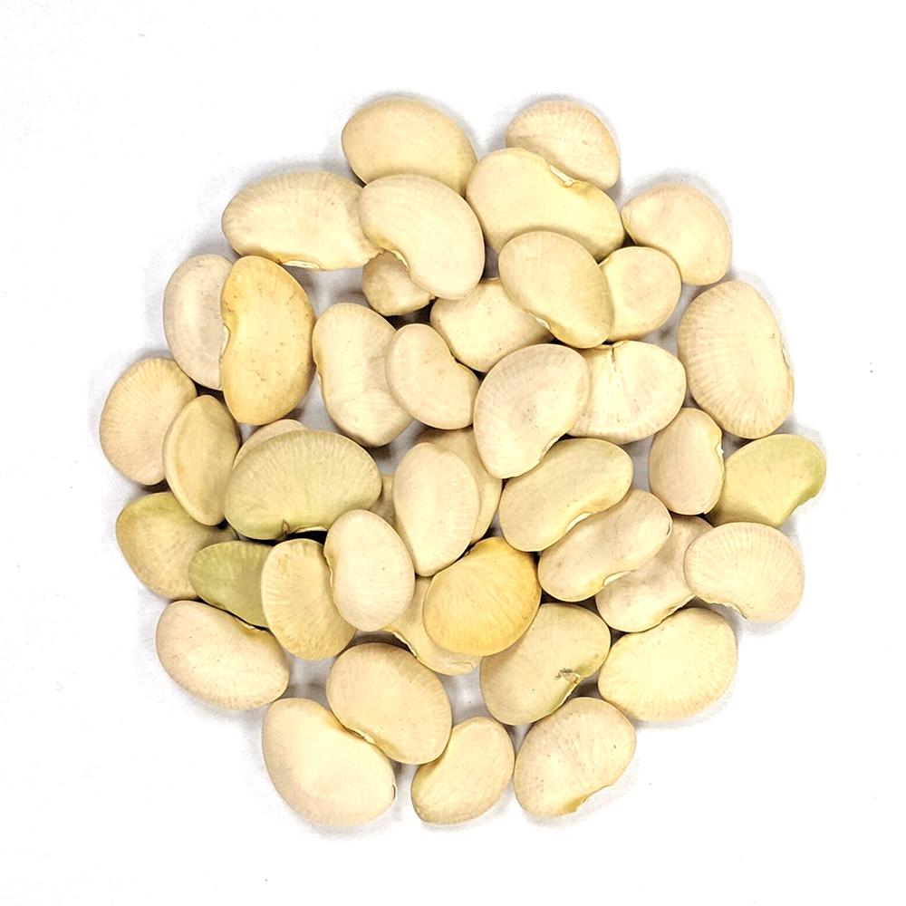 Lima Bean Seeds - King of the Garden (Pole)