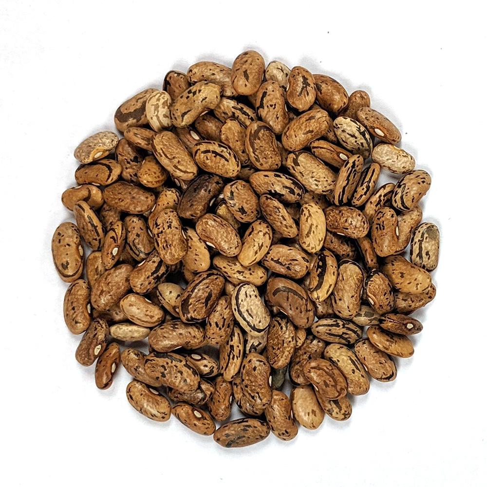 rattlesnake plant seeds Pole Bean Seeds