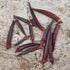 Okra Seeds - Red Burgundy