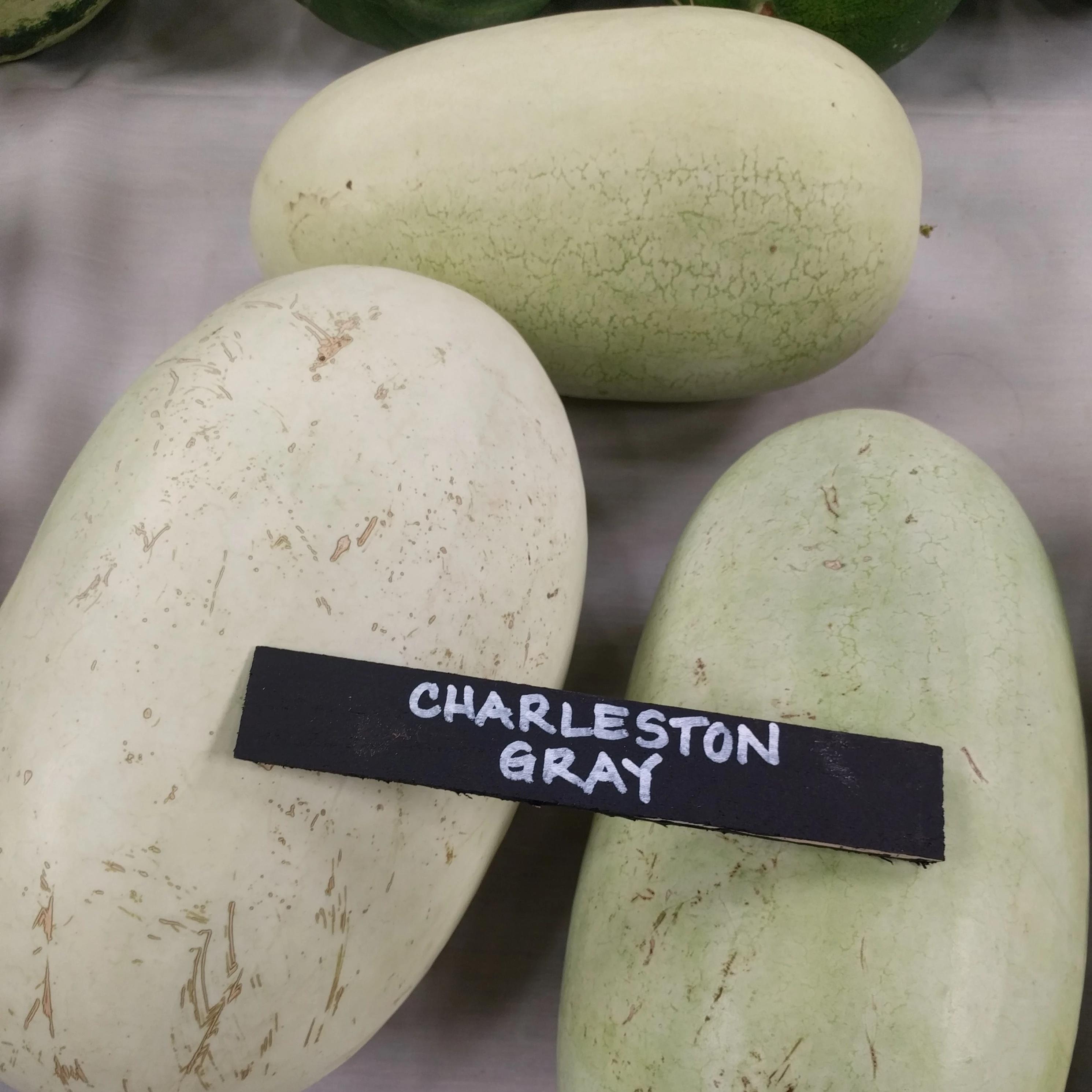 Watermelon - Charleston Grey - Sow True Seed