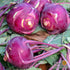 Kohlrabi Seeds - Purple Vienna