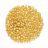 Flint Corn Seeds - Japanese White Hulless Popcorn