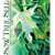 Asian Greens Seeds - Mizuna, ORGANIC - Sow True Seed