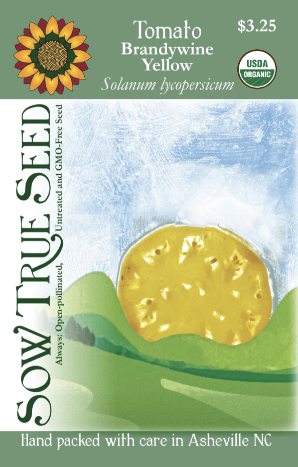 Slicing Tomato Seeds - Brandywine Yellow, ORGANIC