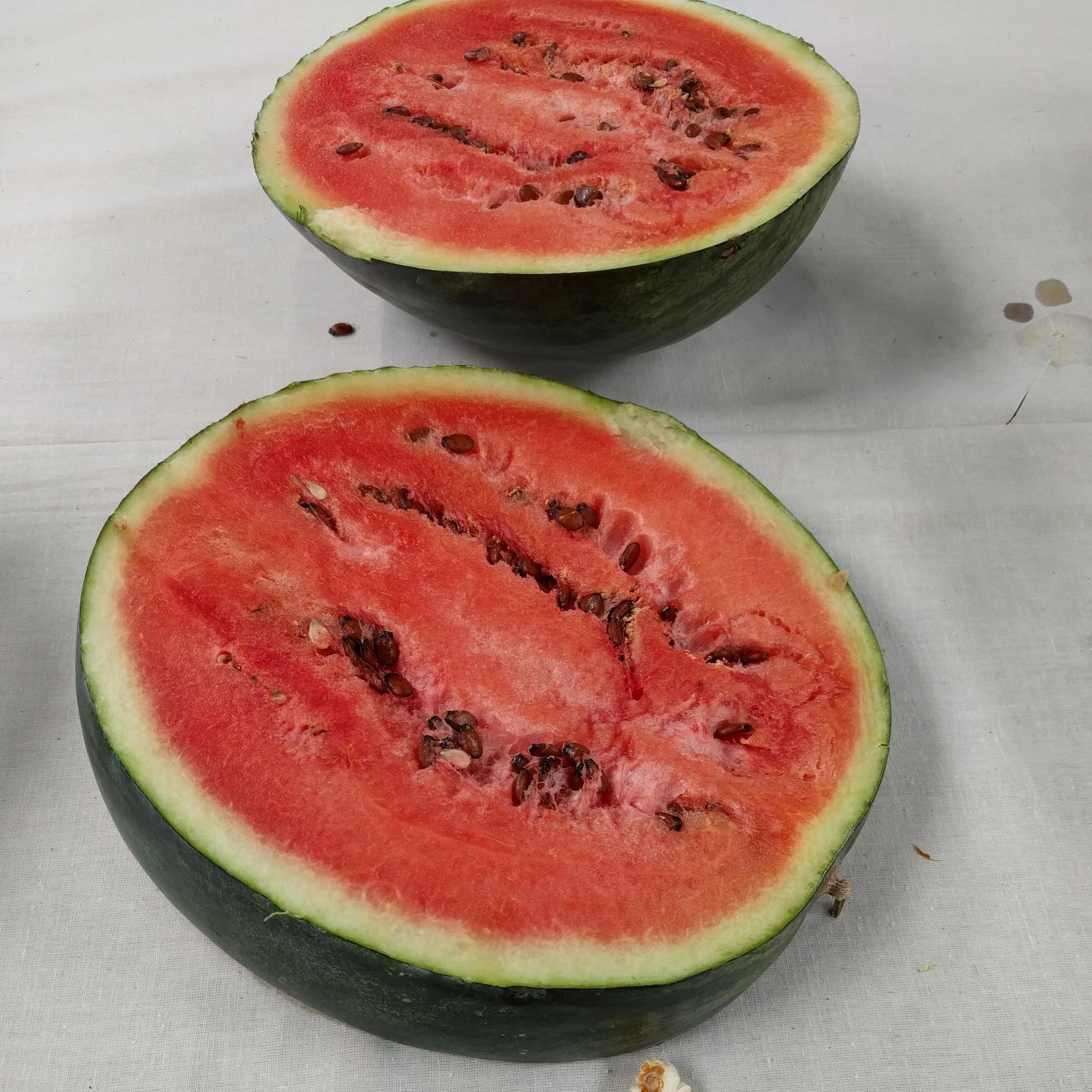 Sugar Baby Watermelon Seeds Sow True Seed Open-Pollinated