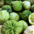 Tomatillo Seeds - Green, ORGANIC - Sow True Seed