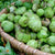 Tomatillo Seeds - Green, ORGANIC - Sow True Seed