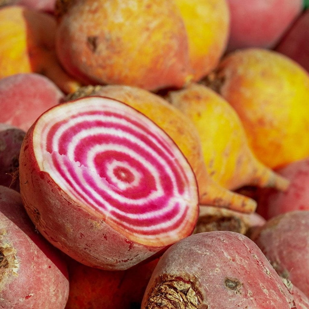 Beet Seeds - Chioggia, ORGANIC - Sow True Seed