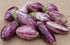 Eggplant Seeds - Listada de Gandia, ORGANIC