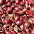French Red Shallots