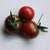 Cherry Tomato Seeds - Black Cherry - Sow True Seed