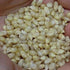 Flint Corn Seeds - Pennsylvania Dutch Butter Flavored Popcorn, ORGANIC