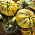 Pumpkin Seeds - Styrian Hulless, ORGANIC