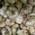 Inchelium Red Softneck Garlic