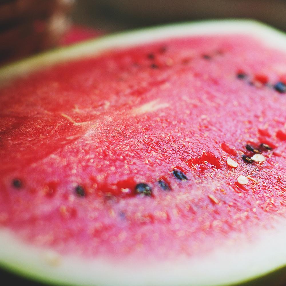 Watermelon - Charleston Grey - Sow True Seed