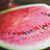 Watermelon - Charleston Grey - Sow True Seed