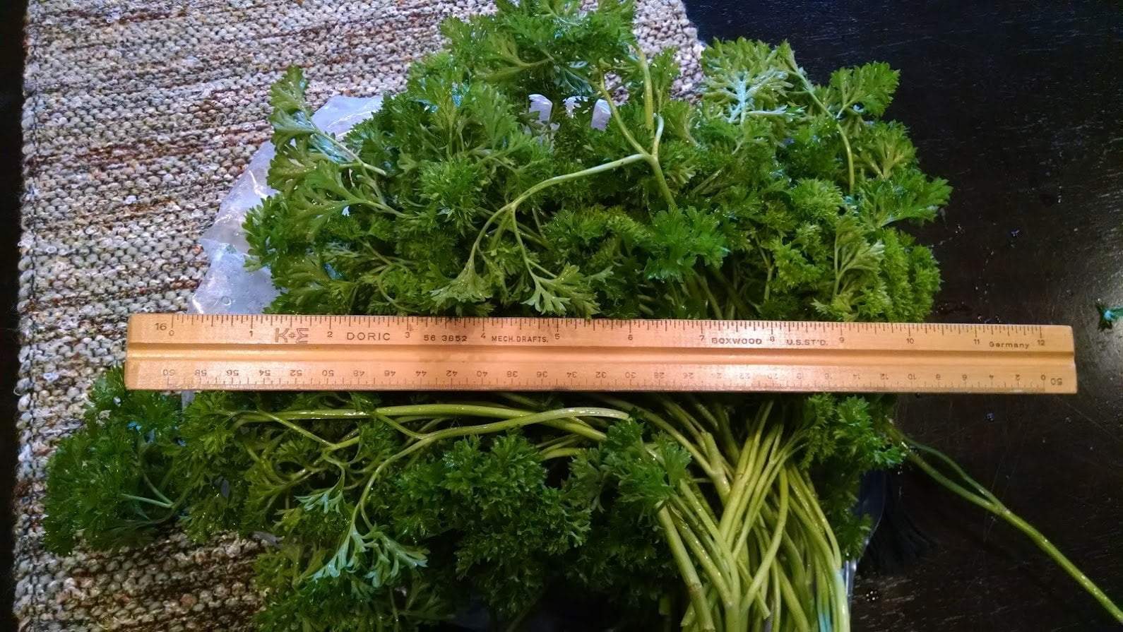 Red-Streaked Mizuna + Cherokee Blue Mustard: A Cool Parsley Substitute