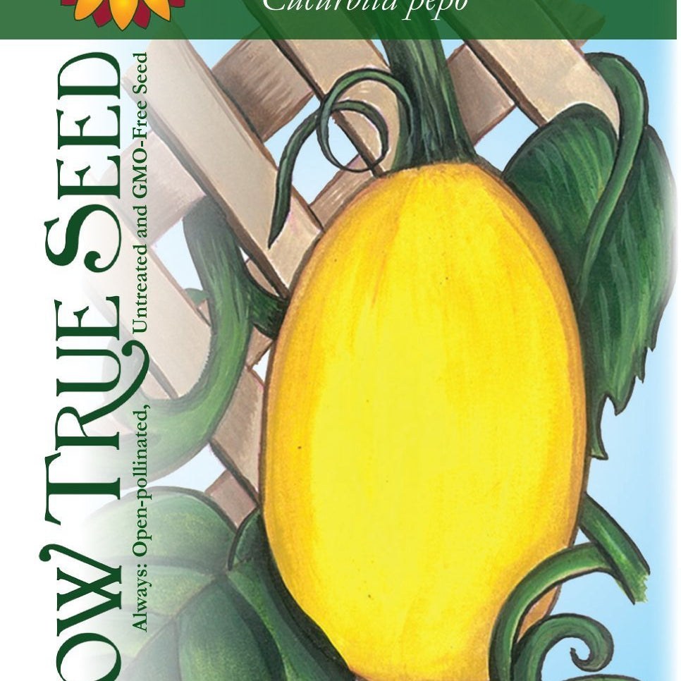 Artist designed packets of Vegetable spaghetti Winter Squash from Sow True Seed Asheville NC. 