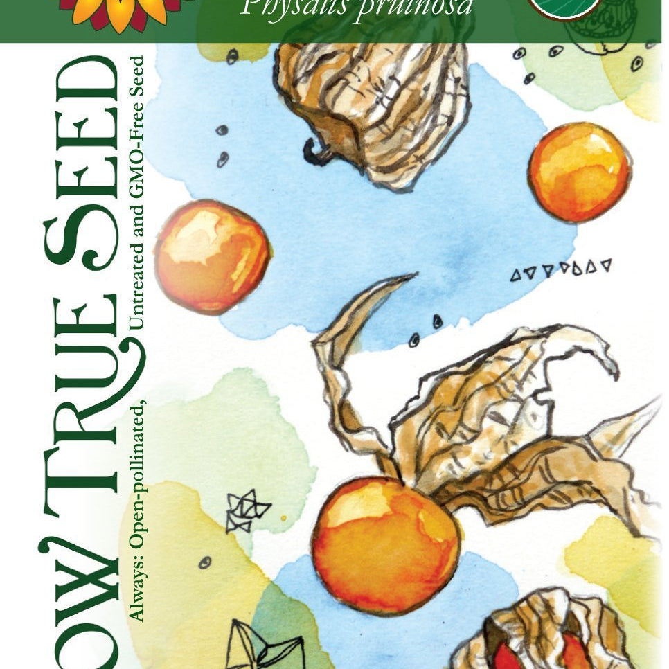 Artist designed packets of USDA organic Cossacks Pineapple Husk Cherry from Sow True Seed Asheville NC. 