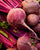 How to Grow Beets