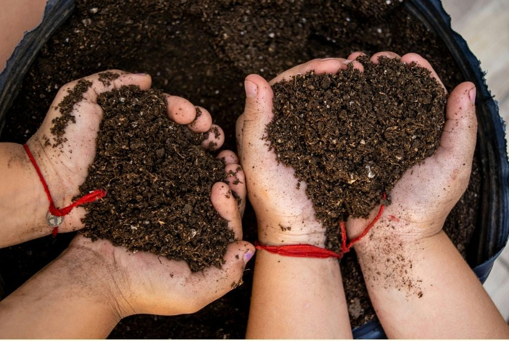 A Beginner’s Guide to Testing Garden Soil Health at Home