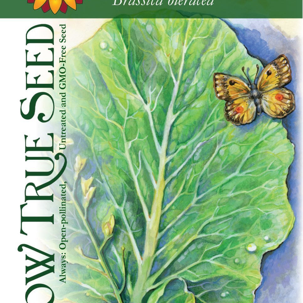 Artist designed packets of Champion Collard Greens from Sow True Seed Asheville NC. 