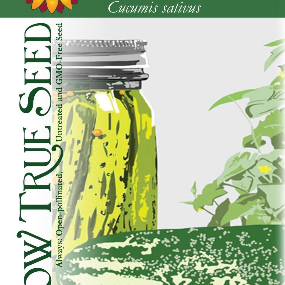 Artist designed packets of Bush Pickling Cucumber from Sow True Seed Asheville NC. 