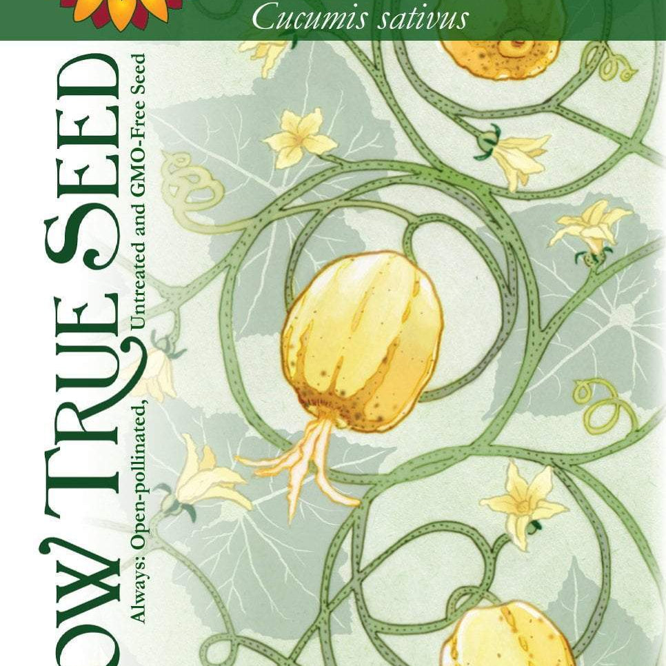 USDA organic, open pollinated, non GMO, heirloom, untreated seed available at Sow True Seed. 