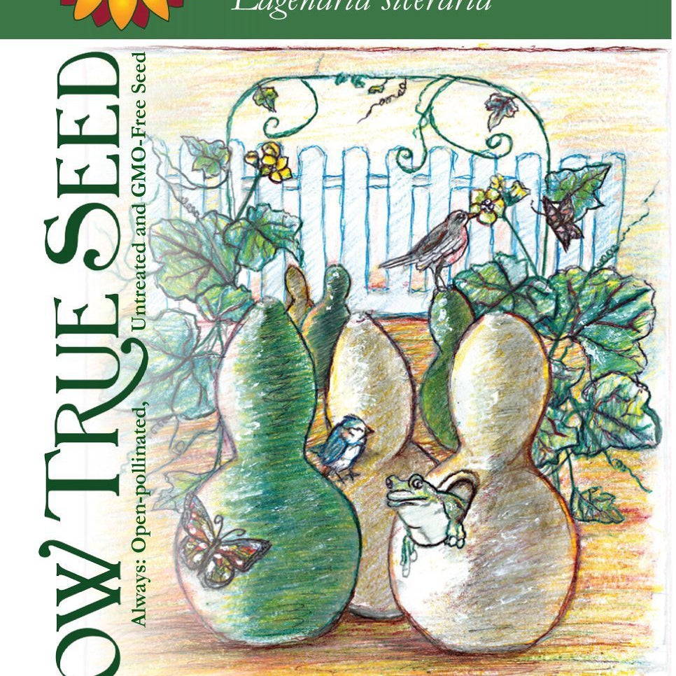 Artist designed packets of Birdhouse Bottle Gourd from Sow True Seed Asheville NC. 